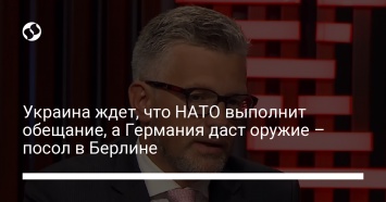 Украина ждет, что НАТО выполнит обещание, а Германия даст оружие - посол в Берлине