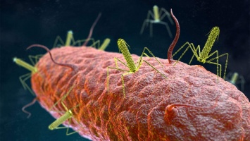 Ученые извлекают белковые наномашины из бактерий