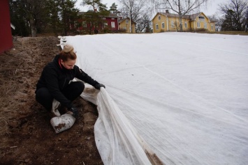 Первые украинские сезонные рабочие уже трудятся в Финляндии. И там говорят, что надо еще