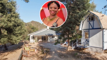 Одна из основательниц BLM разбогатела и купила шикарный дом в белом районе