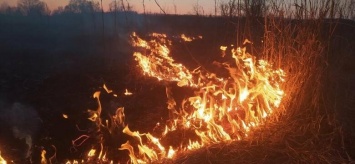 На Харьковщине из-за выжигания сухостоя спасатели тушили почти шесть десятков пожаров, - ФОТО