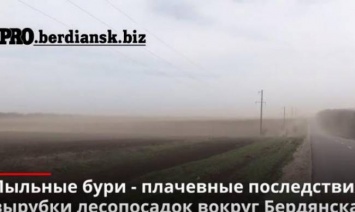 В Запорожской области пронеслась пыльная буря