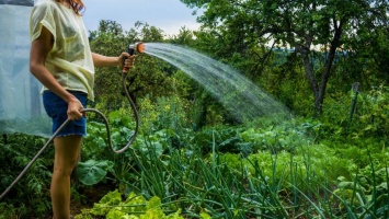 Поливной сезон в Никополе: водоканал назвал часы полива земельных участков