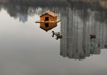 Новоселье для водоплавающих: на озере "Лебединое" установили домики для уток