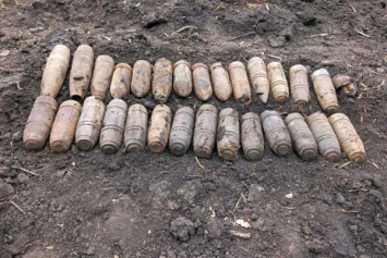 Искал металл, нашел боеприпасы: под Кривым Рогом обнаружены почти 3 десятка снарядов