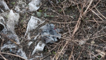 Дрон оккупантов установил противопехотную мину возле КПВВ «Майорское»
