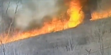 Под Липецком сняли на видео, как огонь уничтожил пожарную машину