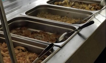 Поставщики питания для запорожских школ нарушают санитарные требования, некоторые работают нелегально