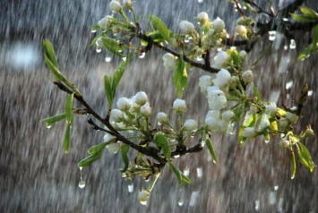 Дожди, штормовой ветер и похолодание: погода в Крыму изменится
