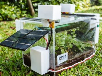 Автономная мини-ферма вырабатывает воду из воздуха