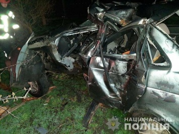 В Запорожской области водитель ВАЗ не остановился по требованию патрульных и на скорости врезался в дерево, - ПОДРОБНОСТИ
