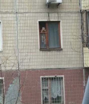 Куда смотрят соцслужбы: ребенок, который уже однажды выпал из окна 2-го этажа снова замечен у открытого окна