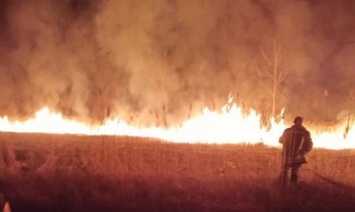 В Запорожской области произошел масштабный пожар: пламя едва не перекинулось на жилые дома