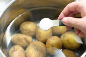 Почему немецкие ученые советуют пить воду от вареного картофеля