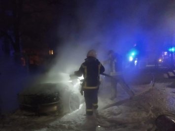 Николаевские спасатели тушили камыши и авто (ФОТО)