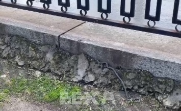 В Харькове на набережной заметили змею (видео)
