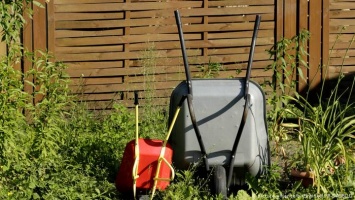 За какие садовые работы штрафуют в Германии