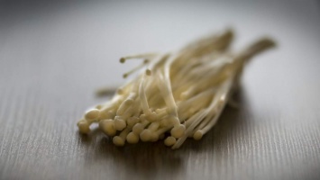 В США FDA вновь отозвала съедобные грибы