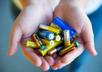 Не надо в урну: в ботсаду ДНУ можно сдать нерабочие батарейки
