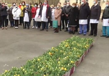Благодарность: посольство Нидерландов передало медикам 20 ящиков тюльпанов