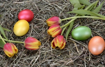 Зачем красят яйца на Пасху. Что означает каждый цвет