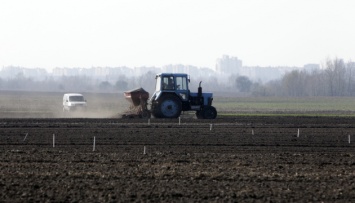 На Харьковщине засеяли более 140 тысяч гектаров зерновых