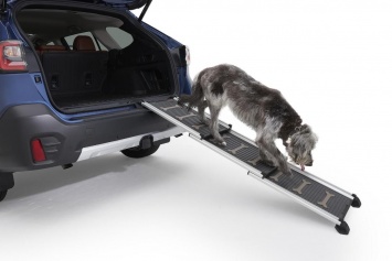Subaru выпустила новую линию автомобильных аксессуаров для перевозки домашних животных