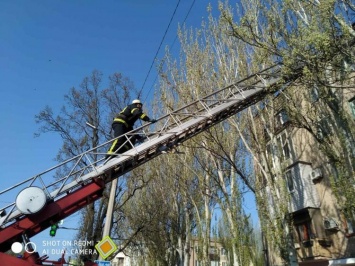 В Мелитополе пенсионерка стала заложницей собственной квартиры