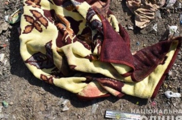 Ужас на Тернопольщине: на свалке обнаружили тело новорожденного ребенка