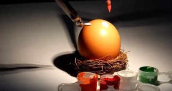 Почти код Да Винчи. Врач-гинеколог расписал яйцо с помощью хирургического робота (ФОТО, ВИДЕО)
