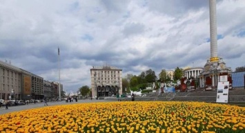 В центре Киева зацвели тысячи тюльпанов: фото