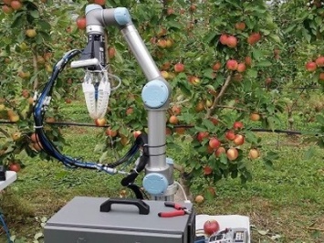 Робот заменяет людей на сезонной работе в садах [ВИДЕО]