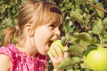 Так ли опасны немытые овощи и фрукты? Врачи раскрыли правду