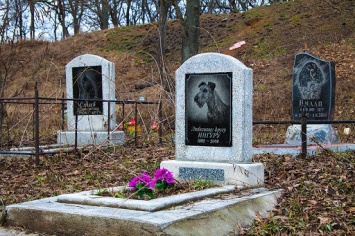 В Киеве собираются снести кладбище домашних животных