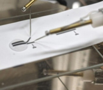Создан первый транзистор, который можно растворить звуком и водой
