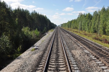 Сидел на рельсах: под Харьковом мужчину насмерть сбил поезд