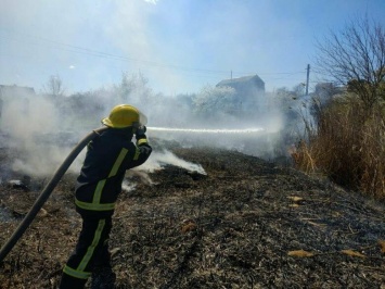 В Мариуполе около жилых домов горела трава, - ФОТО