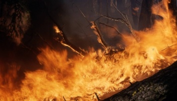 В Турции к тушению лесного пожара привлекли вертолеты и бульдозеры