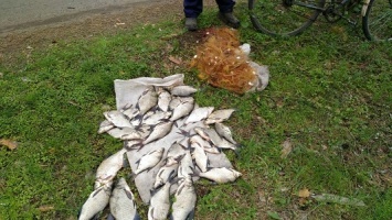 Под Харьковом нелегально поймали крупных рыб