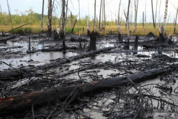 В Крыму обнаружили разлив нефтепродуктов: возбуждено уголовное дело