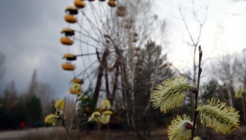 Для предотвращения пожаров: Чернобыль на майские патрулируют мобильные группы