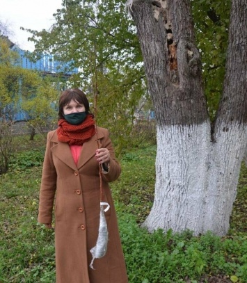 Прямиком из усадьбы Косачей: в Киеве посадят грушу Леси Украинки