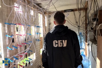 СБУ накрыла ботоферму, которая разгоняла сепаратизм в Одессе