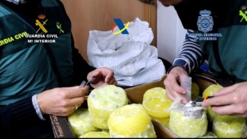 Ананасы с кокаином: в Испании накрыли группу наркодилеров (ВИДЕО)