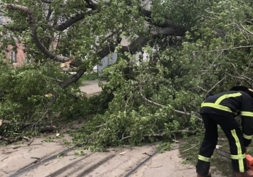 Последствия стихии: в Харькове спасатели расчищали дороги от поваленных ветром деревьев