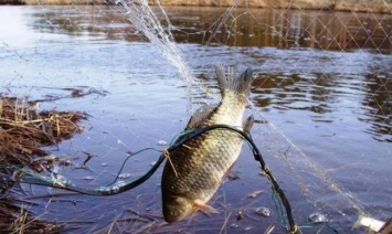 В Запорожской области поймали браконьера с 25 килограммами рыбы