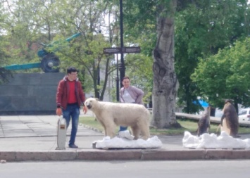 На улицах Херсона заметили пингвинов и белого медведя