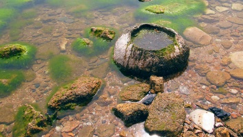 Жители Марганца обнаружили 200-летнюю каменную ступу
