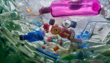 Половину одноразового пластика на планете производят всего 20 компаний
