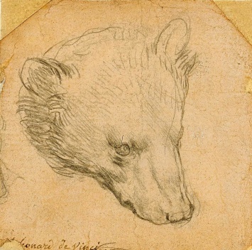 Медведя Леонардо да Винчи хотят продать за £12 млн